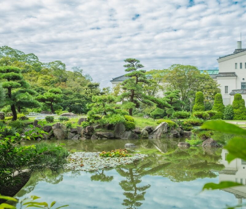pexels-ryutaro-tsukata-5746135-1-1024x683